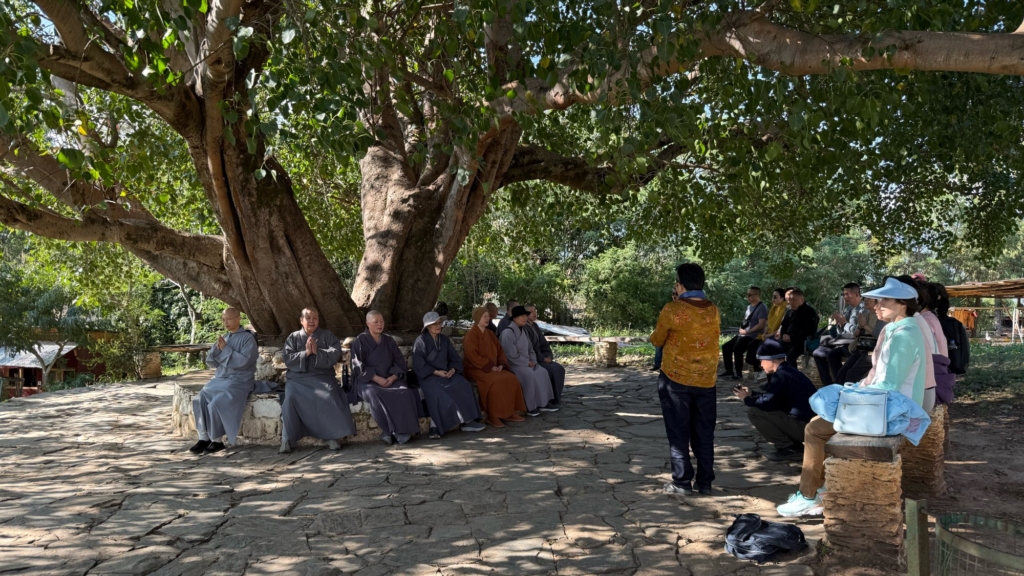 The Buddhist travel group chanting together under the wide canopy of an ancient Bodhi tree near the temple.